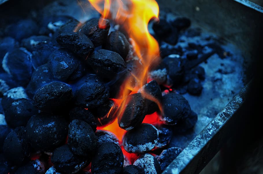 Will the Coal Die Out?