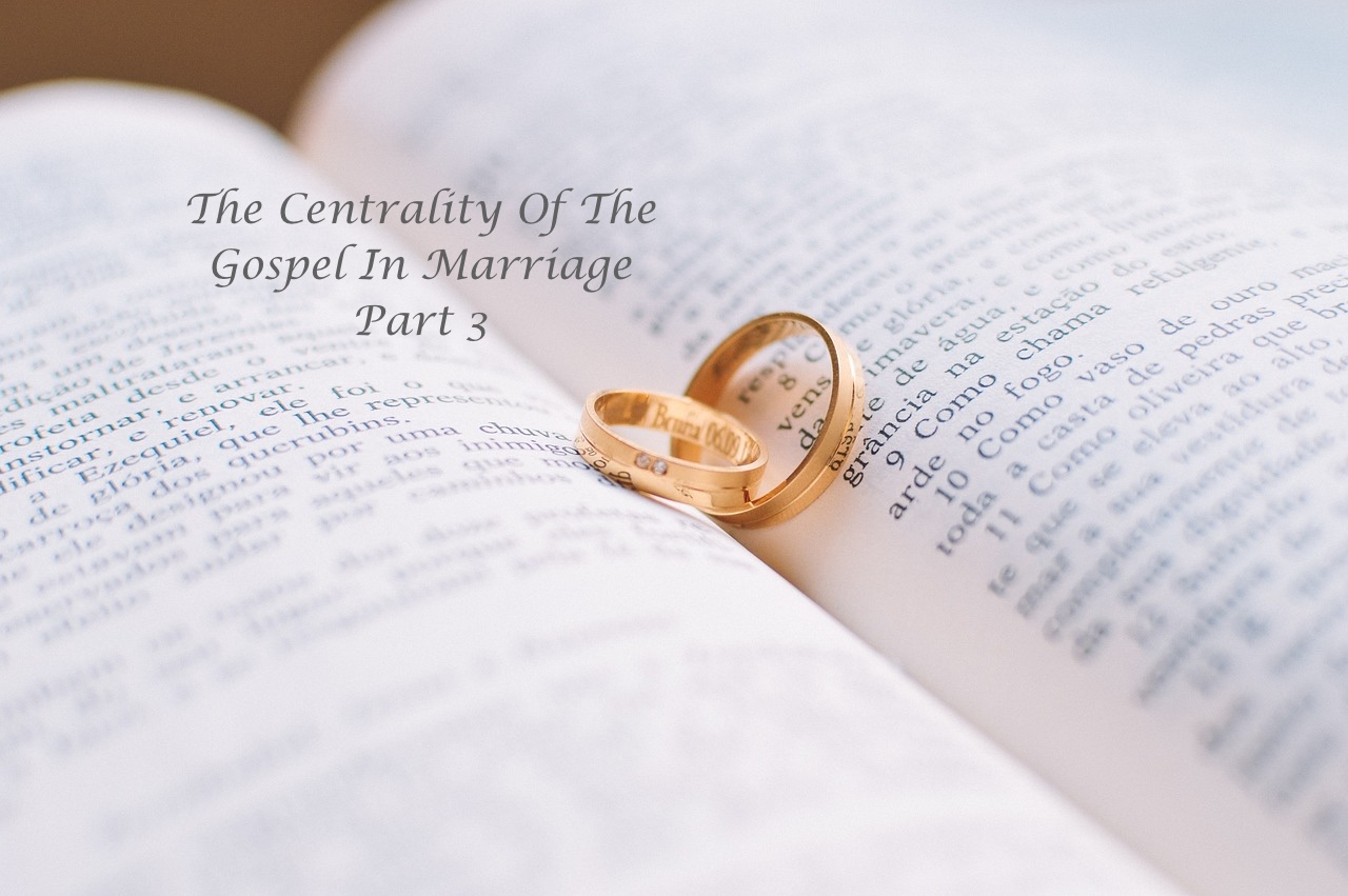 wedding-rings-1284225_1280 copy 2
