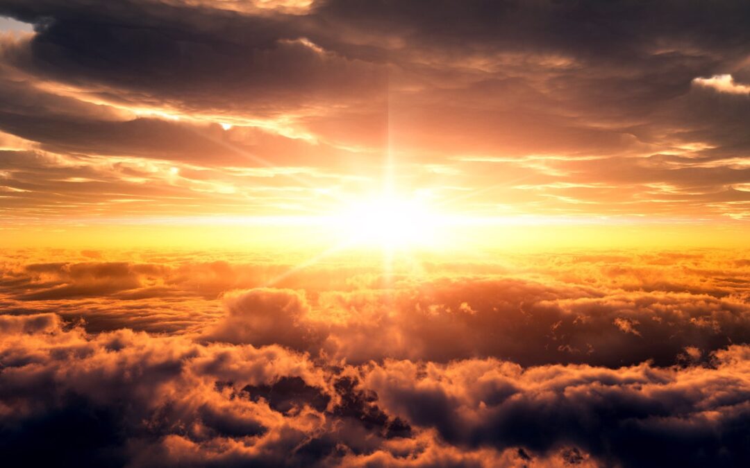 Life Under the Sun