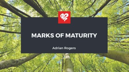 Marks-of-Maturity-1920×1080