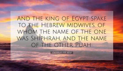 Exodus-1-15-ASV-scenic-bible-verse-wallpaper-I02001015-L07