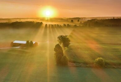 Late Summer Sunrise Over Misty Rural Landscape With Long Shadows