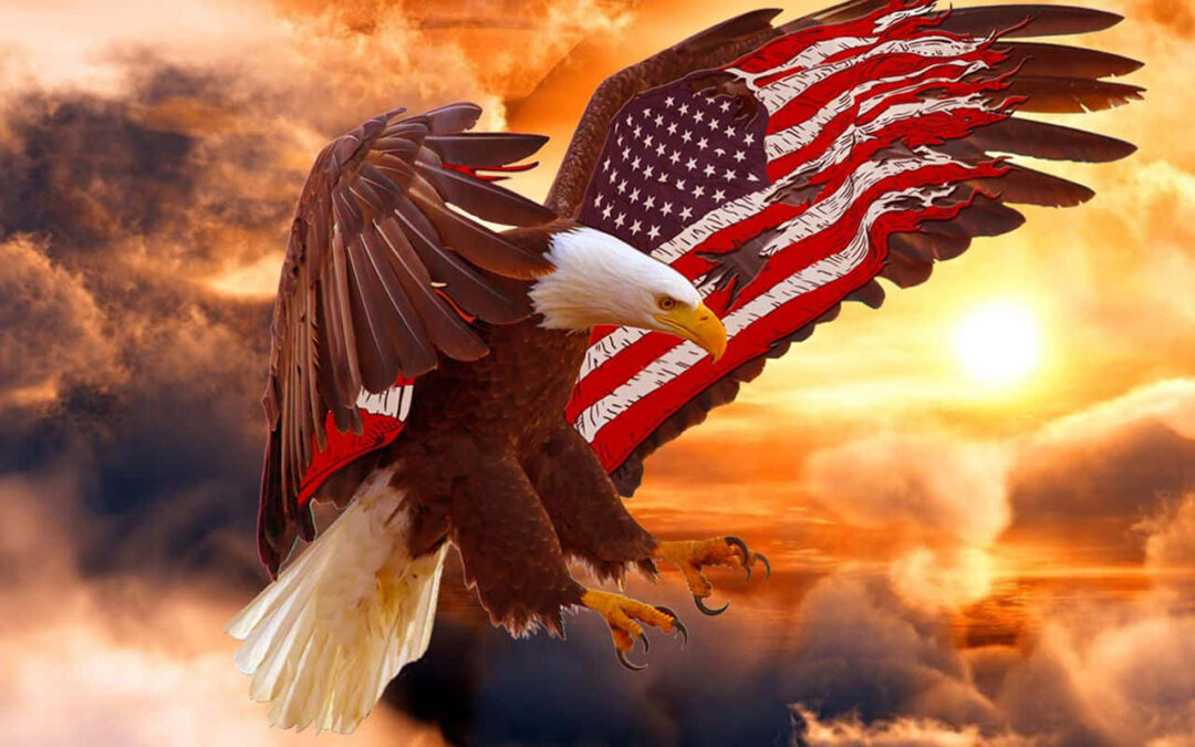 Happy 4th of July! Identifying 7 Ingredients Essential to Freedom