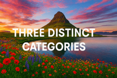 Three Distinct Categories