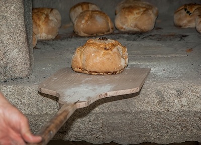The Power of Baked In Prayers