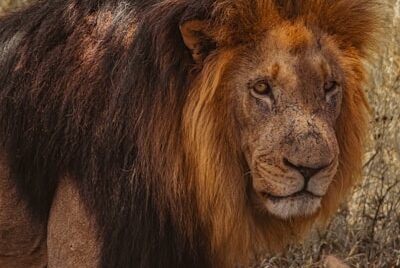 2 Kings 19:6 Don’t Fear Words