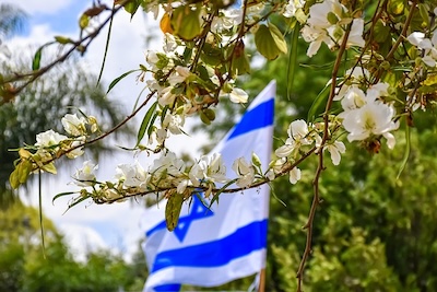 Why Israel Should Matter to Believers