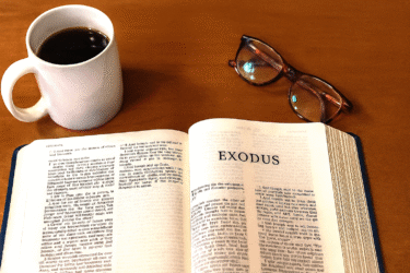 Exodus – Copilot