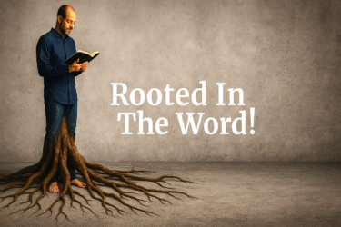 Rooted In the WORD