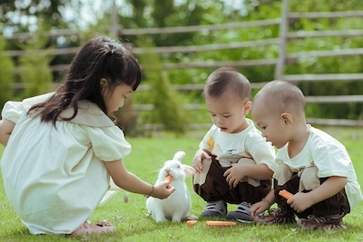 How a Broken Tooth Taught Our Children Personal Responsibility
