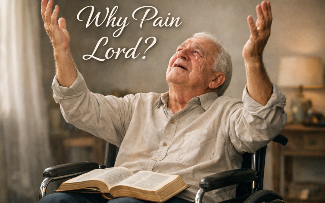 The Problem of Pain