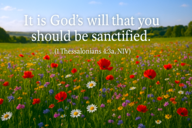 Sanctification – Copilot